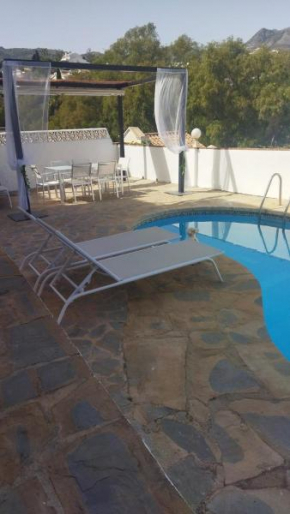 Tropical Suite